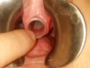 Revolusi Kuba: bokep ...
